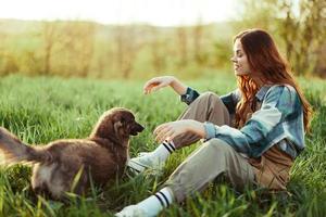 Frau glücklich lächelnd beim spielen mit ihr wenig Hund draußen auf frisch Grün Gras im das Sommer- Sonnenschein ihr und ihr Hund Gesundheit, Gesundheit Konzept und rechtzeitig Behandlung zum Insekten Zecken und Tick Flöhe foto