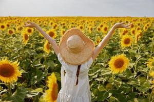 schön Süss Mädchen im ein Hut auf ein Feld von Sonnenblumen Sommer- Zeit foto