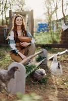 Frau Farmer lächelt Einspeisungen Hühner organisch Essen zum Vogel Gesundheit und gut Eier und Pflege zum das Umgebung foto