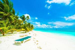 schöne Malediven Insel