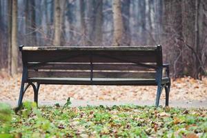 alt hölzern Bank im das Herbst Park, Nein Menschen foto