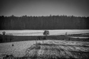 Winter landwirtschaftlich Landschaft mit Schnee auf ein wolkig Tag im Polen foto