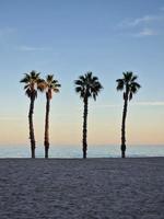 Strand Landschaft Frieden und ruhig Sonnenuntergang und vier Palme Bäume auf das Strand foto