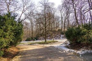 Landschaft im das Park im früh Frühling mit schmelzen Weiß Schnee auf ein sonnig Februar Tag foto