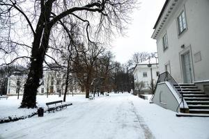 Park im Warschau Polen auf ein schneebedeckt Winter Tag foto