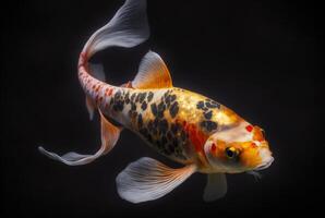 Koi Fisch isoliert schwarz Hintergrund. generativ ai foto