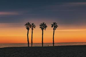 Strand Landschaft Frieden und ruhig Sonnenuntergang und vier Palme Bäume auf das Strand foto