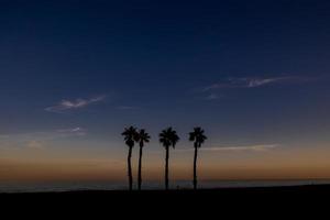 Strand Landschaft Frieden und ruhig Sonnenuntergang und vier Palme Bäume auf das Strand foto