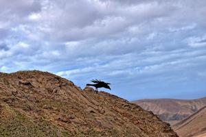 leeren mysteriös bergig Landschaft von das Center von das Kanarienvogel Insel Spanisch fuerteventura mit ein wolkig Himmel foto