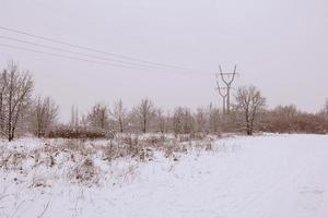 Winter natürlich Landschaft mit schneebedeckt Bäume im das Wald und ein eng Pfad foto