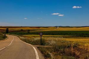 Landschaft Asphalt Straße durch Felder und Wiesen im warm Sommer. Tag Aragon Spanien foto