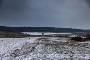 Winter landwirtschaftlich Landschaft mit Schnee auf ein wolkig Tag im Polen foto