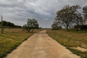 Sommer- Landschaft mit ein sandig Straße im das Felder auf ein wolkig Tag foto