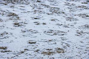 Original Winter Sand Hintergrund auf das Strand mit Fußabdrücke auf das baltisch Meer bedeckt mit ein dünn Schicht von Schnee foto