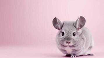 Chinchilla Banner. Kopieren Raum, Hintergrund. generativ ai. foto