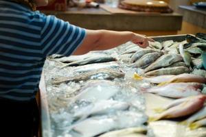 Nahaufnahme Menge von toten Fischen auf dem Tablett im Frischmarkt foto