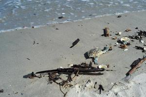 Nahaufnahmebild der Welle, die den Sandstrand mit Holzstab und Müll an der Küste trifft foto