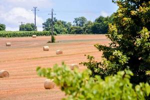 szenisch ländlich Landschaft foto