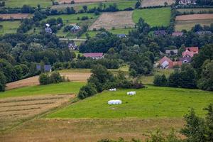 Sommer- Landschaft mit Polieren Berge auf ein wolkig Tag foto