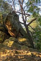 Teufel Stein im ein Wald im das Berge von pogorzyce im Polen auf ein Sommer- Tag foto