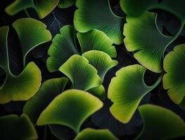 Ginkgo biloba Grün Blätter Hintergrund erstellt mit generativ ai Technologie foto