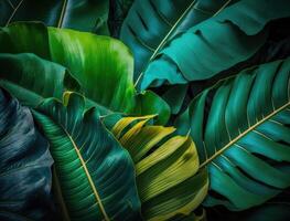 abstrakt Grün tropisch Banane und Monstera Blätter Hintergrund erstellt mit generativ ai Technologie foto