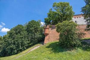 Aussicht von das alt Stadt, Dorf von Krakau im Polen auf ein Sommer- Tag von wawel Schloss foto