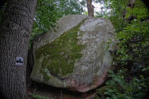 Teufel Stein im ein Wald im das Berge von pogorzyce im Polen auf ein Sommer- Tag foto