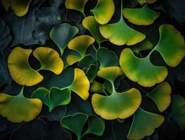 Ginkgo biloba Grün Blätter Hintergrund erstellt mit generativ ai Technologie foto