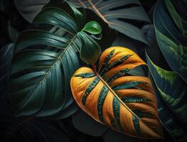 abstrakt Grün tropisch Banane und Monstera Blätter Hintergrund erstellt mit generativ ai Technologie foto