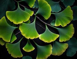 Ginkgo biloba Grün Blätter Hintergrund erstellt mit generativ ai Technologie foto