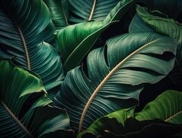 abstrakt Grün tropisch Banane und Monstera Blätter Hintergrund erstellt mit generativ ai Technologie foto