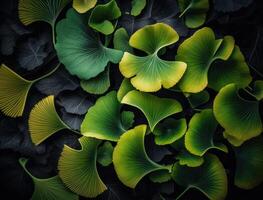 Ginkgo biloba Grün Blätter Hintergrund erstellt mit generativ ai Technologie foto