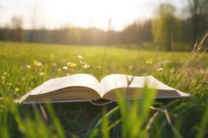 öffnen Buch auf Gras Feld und Wiese Hintergrund. foto