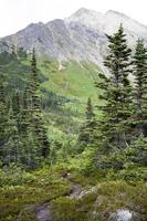 Skagway Stadt, Dorf Oberer, höher dewey See Bereich Wandern Pfad foto