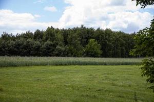 landwirtschaftlich Landschaft im Polen auf ein Sommer- Tag foto