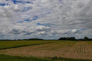 landwirtschaftlich Landschaft im Polen auf ein Sommer- Tag foto