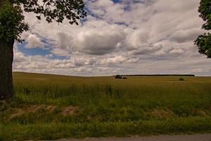 landwirtschaftlich Landschaft im Polen auf ein Sommer- Tag foto