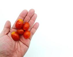 schließen oben klein Tomate auf Hände isoliert auf Weiß Hintergrund mit Kopieren Raum. halten Gruppe von rot frisch Gemüse oder Frucht. foto