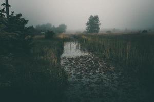 wenig eng Fluss fließend durch das Wiese auf grau neblig Tag foto