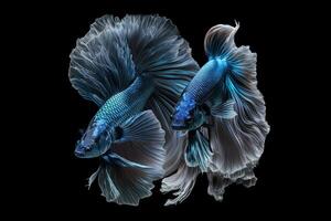 schön Blau von Siamese Betta Fisch im einfach dunkel schwarz Hintergrund gemacht mit generativ ai foto