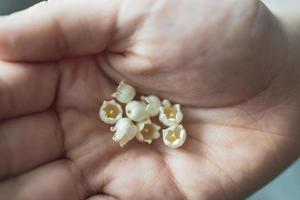 wenig Weiß Lilien von das Senke auf ein Kinder Hand im Nahansicht im Frühling foto