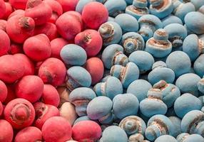 viele farbig rot und Blau Süßigkeiten mögen ein Pilz bereit zu essen. foto