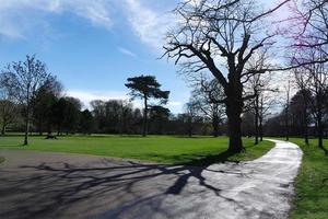 niedrig Winkel Aussicht von Baum und Geäst beim lokal Park foto