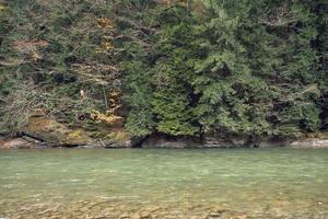 Herbst Wald Berge gefallen Blätter Fluss Landschaft foto