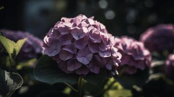 Hortensie Blume Hintergrund. Illustration ai generativ foto