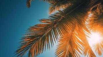Palme Baum sonnig Hintergrund. Illustration ai generativ foto