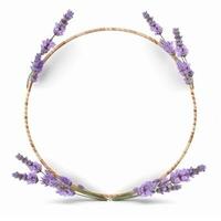 Lavendel Kreis rahmen. Illustration ai generativ foto