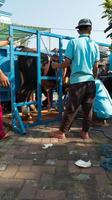 Gresik, Indonesien, Juni 2022 - - Menschen Wer sind Arbeiten zusammen zu tragen aus Qurbani während eid al-adha foto