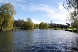 niedrig Winkel Aussicht von lokal Öffentlichkeit Park und schön Bäume ein klar und kalt Tag von 22. März 2023 beim Luton Stadt, Dorf von England Vereinigtes Königreich. foto